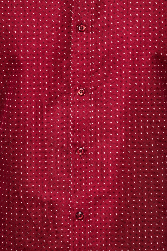 Mens Long Sleeve Printed Casual Button-Down Shirts HLS2004-119